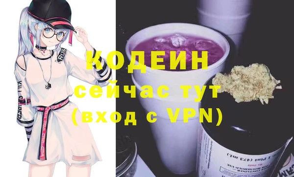 apvp Иннополис
