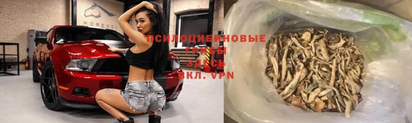 молекула духа Инсар