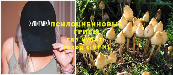apvp Иннополис