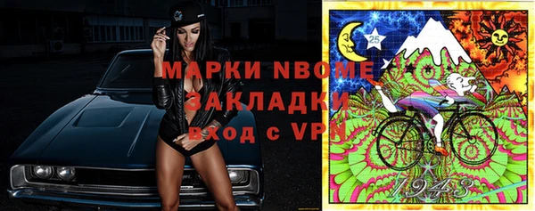 apvp Иннополис