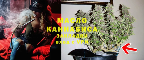 apvp Иннополис