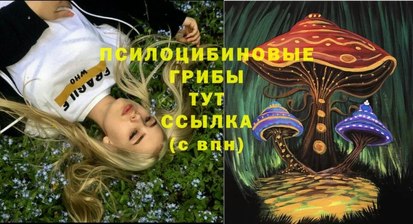 apvp Иннополис