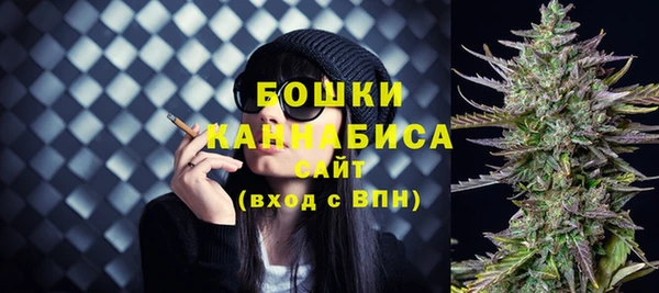 молекула духа Инсар