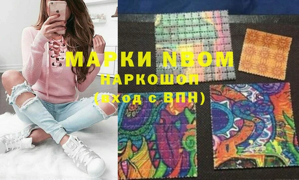 apvp Иннополис